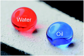 Graphical abstract: Spray-on omniphobic ZnO coatings