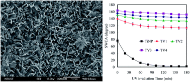 Graphical abstract: Heteroepitaxial TiO2@W-doped VO2 core/shell nanocrystal films: preparation, characterization, and application as bifunctional window coatings