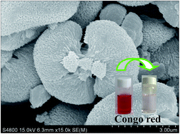 Graphical abstract: Fabrication of calcium oxalate with novel hierarchical structures mediated by amphiphilic phosphoproteins and its adsorptive removal of Congo red from aqueous solution