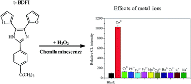 Graphical abstract: Chemiluminescence determination of human serum albumin based on Co2+-catalyzed 2-(4-tert-butylphenyl)-4,5-di(2-furyl) imidazole/H2O2 system