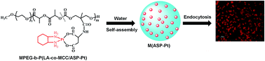 Graphical abstract: Biodegradable polymer–platinum drug conjugates to overcome platinum drug resistance