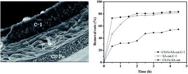 Graphical abstract: Synergistic removal of dyes by Myrothecium verrucaria immobilization on a chitosan–Fe membrane