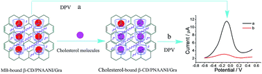 Graphical abstract: Electrochemical detection of cholesterol based on competitive host–guest recognition using a β-cyclodextrin/poly(N-acetylaniline)/graphene-modified electrode