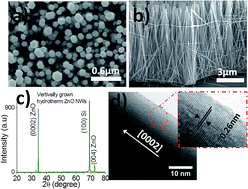 Graphical abstract: Fabrication of field-effect transistors and functional nanogenerators using hydrothermally grown ZnO nanowires