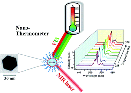 Graphical abstract: Upconversion NaYF4:Yb:Er nanoparticles co-doped with Gd3+ and Nd3+ for thermometry on the nanoscale