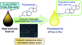 Graphical abstract: Enzymatic deacidification of the rice bran oil and simultaneous preparation of phytosterol esters-enriched functional oil catalyzed by immobilized lipase arrays