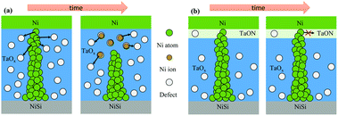 Graphical abstract: Stabilization of Ni conductive filaments using NH3 plasma treatment for electrochemical metallization memory