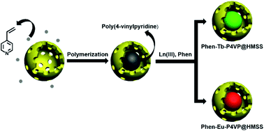 Graphical abstract: Embedding lanthanide-functionalized polymers into hollow mesoporous silica spheres: a ship-in-a-bottle approach to luminescent hybrid materials
