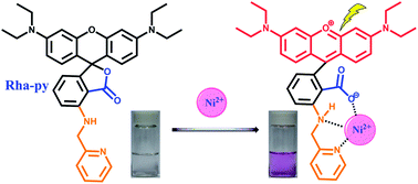 Graphical abstract: A new rhodamine based chemodosimeter for Ni2+ with high sensitivity and selectivity