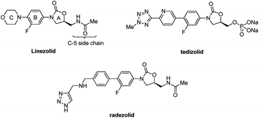 Graphical abstract: Synthesis and in vitro antibacterial activity of novel fluoroalkyl-substituted pyrazolyl oxazolidinones