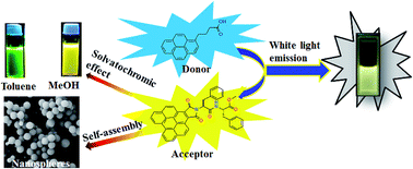 Graphical abstract: Supramolecular assembly of dipeptide functionalized benzo[ghi]perylene monoimide directs white light emission via donor–acceptor interactions