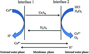 Graphical abstract: Extraction of Ce(iv) from sulphuric acid solution by emulsion liquid membrane using D2EHPA as carrier