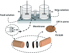 Graphical abstract: Studies on the stability of a supported liquid membrane and its cleaning protocol