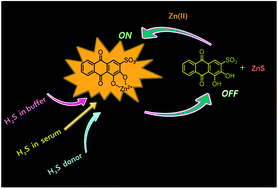 Graphical abstract: Alizarin red S–zinc(ii) fluorescent ensemble for selective detection of hydrogen sulphide and assay with an H2S donor