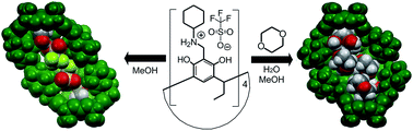 Graphical abstract: Dimeric resorcinarene salt capsules with very tight encapsulation of anions and guest molecules