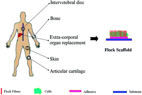 Graphical abstract: Review: unraveling the less explored flocking technology for tissue engineering scaffolds