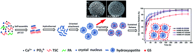 Graphical abstract: Hierarchically nanostructured hydroxyapatite microspheres as drug delivery carriers and their effects on cell viability