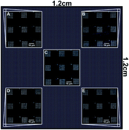 Graphical abstract: Large-area scanning probe nanolithography facilitated by automated alignment of probe arrays