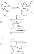 Graphical abstract: Mesoporous molecularly imprinted polymer nanoparticles as a sustained release system of azithromycin