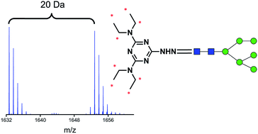 Graphical abstract: Deuterated hydrazino-s-triazine as highly-efficient labelling reagent for glycan relative quantification analysis using electrospray ionization mass spectrometry