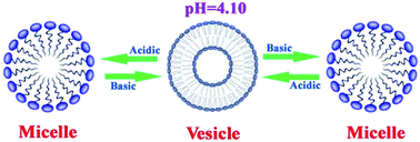 Graphical abstract: pH triggered self-assembly structural transition of ionic liquids in aqueous solutions: smart use of pH-responsive additives