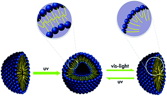 Graphical abstract: Light induced micelle to vesicle transition in an aqueous solution of a surface active ionic liquid
