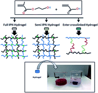 Graphical abstract: Synthesis and characterization of acrylic acid-2-hydroxyethyl methacrylate IPN hydrogels