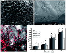 Graphical abstract: Green fabrication of porous silk fibroin/graphene oxide hybrid scaffolds for bone tissue engineering