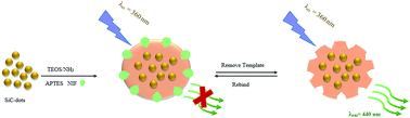 Graphical abstract: Surface molecular imprinting on silane-functionalized carbon dots for selective recognition of nifedipine