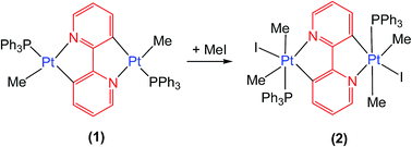 Graphical abstract: Oxidation of a rollover cycloplatinated(ii) dimer by MeI: a kinetic study