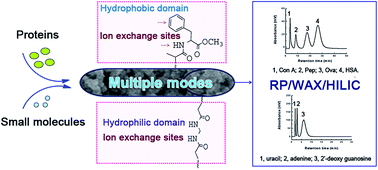 Graphical abstract: Preparation of an amino acid-based polymer monolith for trimodal liquid chromatography