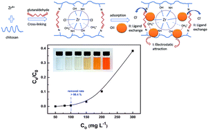 Graphical abstract: Effective removal of azo-dye orange II from aqueous solution by zirconium-based chitosan microcomposite adsorbent