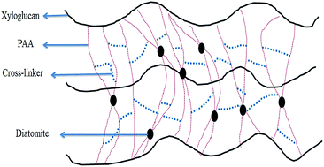 Graphical abstract: Synthesis and properties of a novel ecofriendly superabsorbent hydrogel nanocomposite based on xyloglucan-graft-poly(acrylic acid)/diatomite