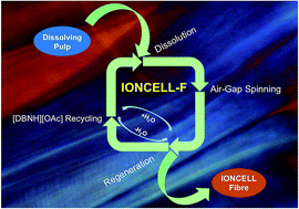 Graphical abstract: Sustainability of cellulose dissolution and regeneration in 1,5-diazabicyclo[4.3.0]non-5-enium acetate: a batch simulation of the IONCELL-F process