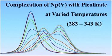 Graphical abstract: Effect of temperature on the thermodynamic and spectroscopic properties of Np(v) complexes with picolinate