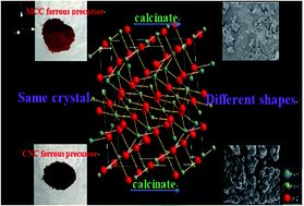 Graphical abstract: Comparison of the effects of microcrystalline cellulose and cellulose nanocrystals on Fe3O4/C nanocomposites