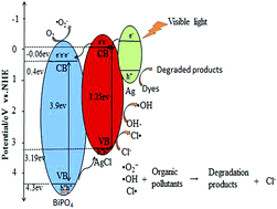 Graphical abstract: Facile synthesis of Ag/AgCl/BiPO4 plasmonic photocatalyst with significantly enhanced visible photocatalytic activity and high stability