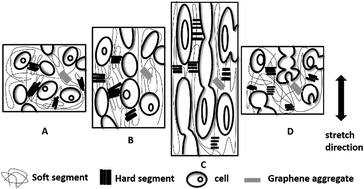 Graphical abstract: Fabrication of stretchable, flexible conductive thermoplastic polyurethane/graphene composites via foaming