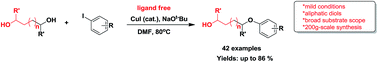 Graphical abstract: Ligand-free Cu-catalyzed O-arylation of aliphatic diols