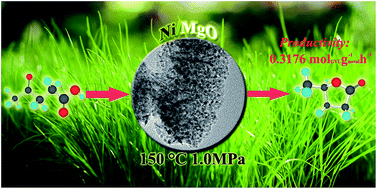 Graphical abstract: Highly efficient conversion of biomass-derived levulinic acid into γ-valerolactone over Ni/MgO catalyst