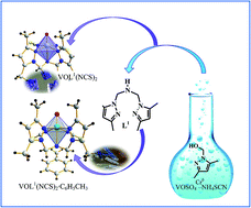Graphical abstract: New oxovanadium(iv) complexes with pincer ligand obtained in situ: experimental and theoretical studies on the structure, spectroscopic properties and antitumour activity