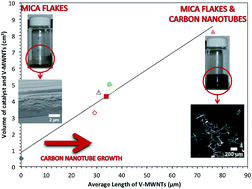 Graphical abstract: Rapid growth of vertically aligned multi-walled carbon nanotubes on a lamellar support