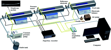 Graphical abstract: Response of zeta potential to different types of local membrane fouling in dead-end membrane filtration with yeast suspension