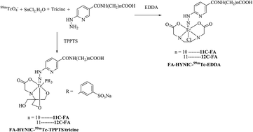 Graphical abstract: Syntheses and biological evaluation of 99mTc-HYNIC-fatty acid complexes for myocardial imaging