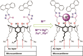 Graphical abstract: Metal ion binding properties of a bimodal triazolyl-functionalized calix[4]arene on a multi-array microcantilever system. Synthesis, fluorescence and DFT computation studies