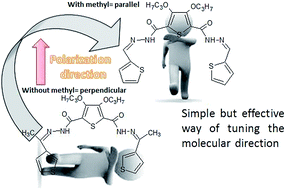 Graphical abstract: Photo tuning of thiophene-2,5-dicarbohydrazide derivatives for their photoalignment ability-molecular modelling studies