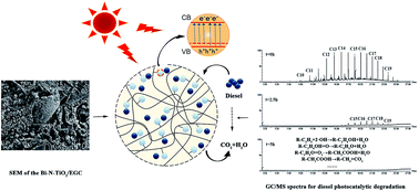 Graphical abstract: Floating photocatalysts based on loading Bi/N-doped TiO2 on expanded graphite C/C (EGC) composites for the visible light degradation of diesel