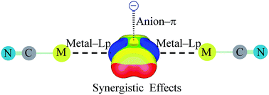 Graphical abstract: Theoretical study of synergistic effects between anion–π and metal–Lp interactions