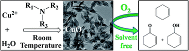 Graphical abstract: Room-temperature synthesis of mesoporous CuO and its catalytic activity for cyclohexene oxidation