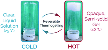 Graphical abstract: Unusual thermogelling behaviour of poly[2-(dimethylamino)ethyl methacrylate] (PDMAEMA)-based polymers polymerized in bulk